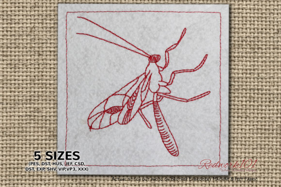 Ichneumonidae Embroidery Design Review